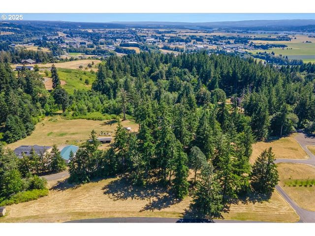165 SATURN Ave, Woodland, WA 98674