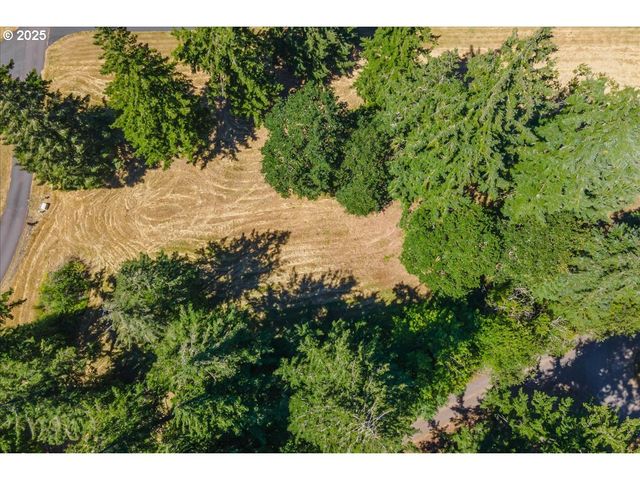 165 SATURN Ave, Woodland, WA 98674