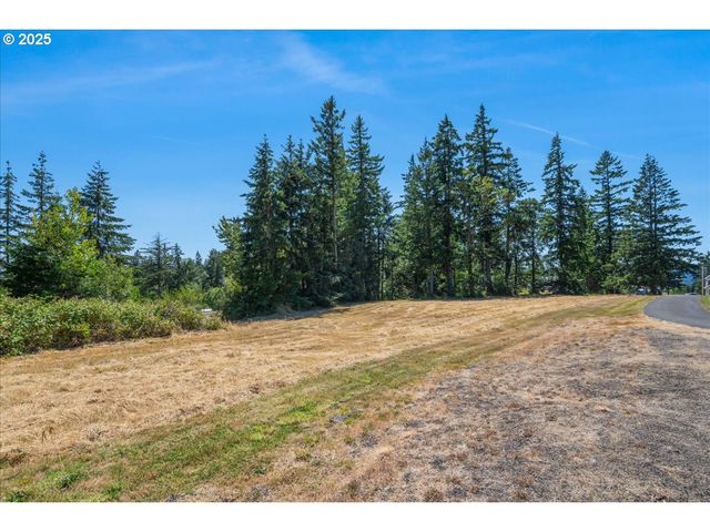 165 SATURN Ave, Woodland, WA 98674