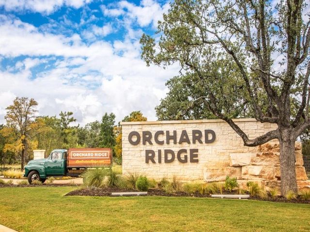 209 Scarlett Thistle DR, Liberty Hill, TX 78642