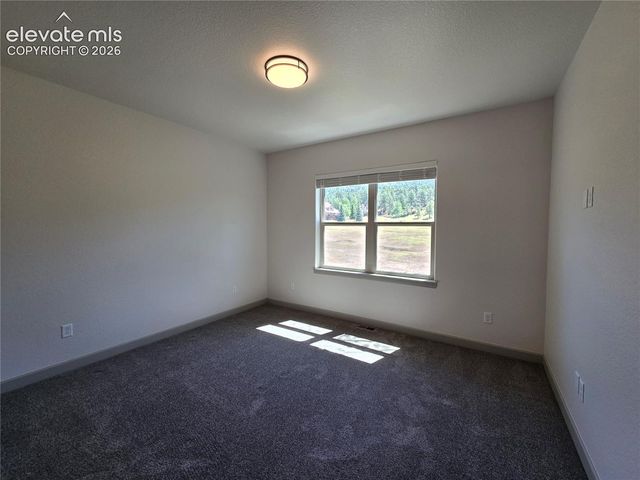 538 Brecken Court, Woodland Park, CO 80863
