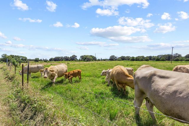 1186 County Road 2210, Ivanhoe, TX 75447