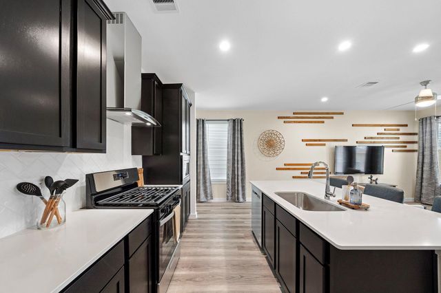 12223 City Rose Court, Houston, TX 77047