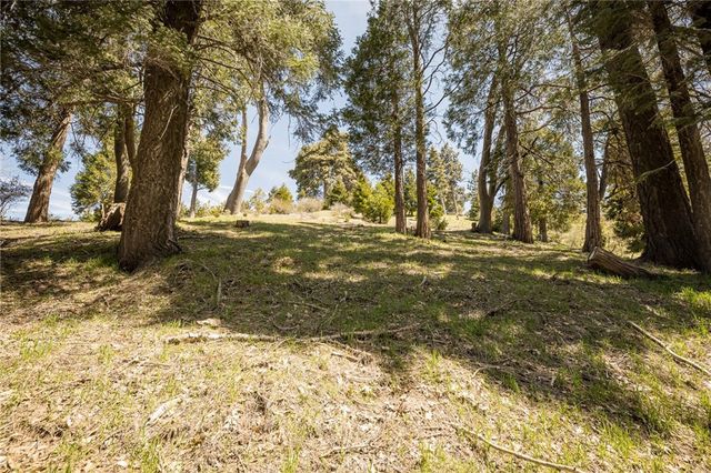 226 Hidden Forest Road, Lake Arrowhead, CA 92352