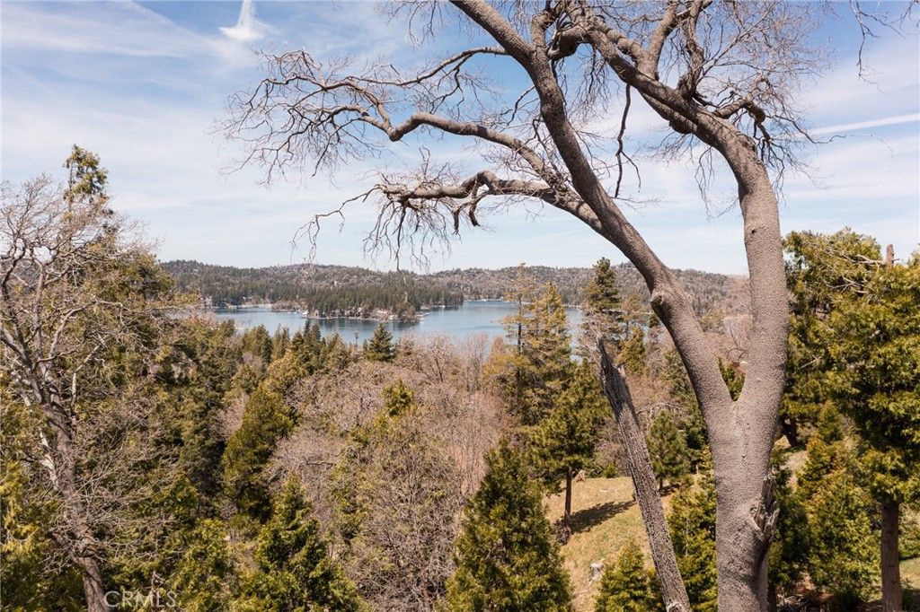 226 Hidden Forest Road, Lake Arrowhead, CA 92352