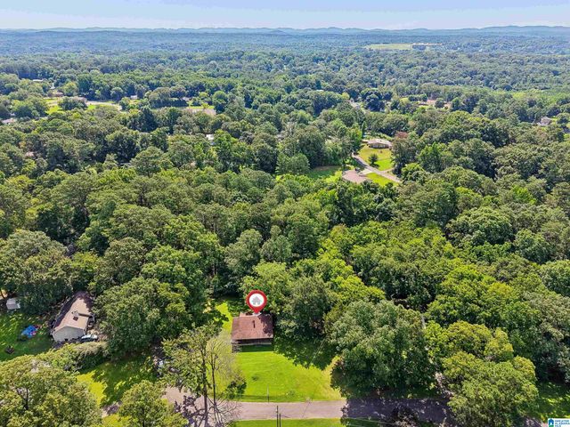 251 MINOR ROAD, Gardendale, AL 35071
