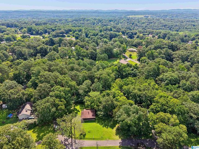 251 MINOR ROAD, Gardendale, AL 35071