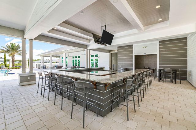 70 River Rise Way, Inlet Beach, FL 32461