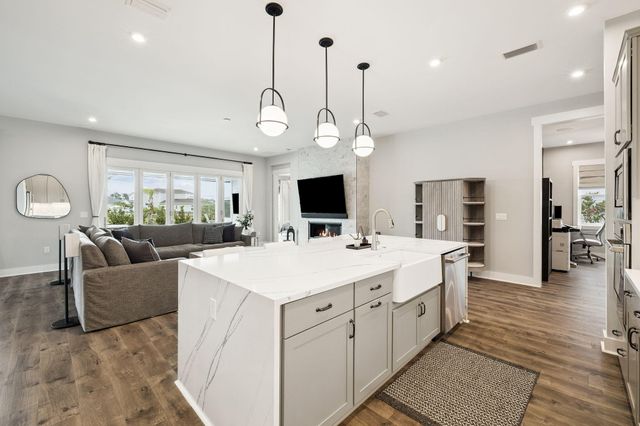 70 River Rise Way, Inlet Beach, FL 32461