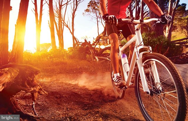 1314 BRACKEN LN, Laurel, MD 20724