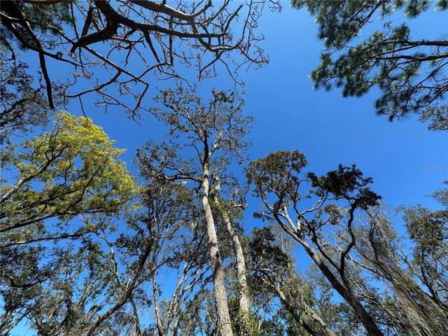 8362 ERIC STREET, Spring Hill, FL 34608