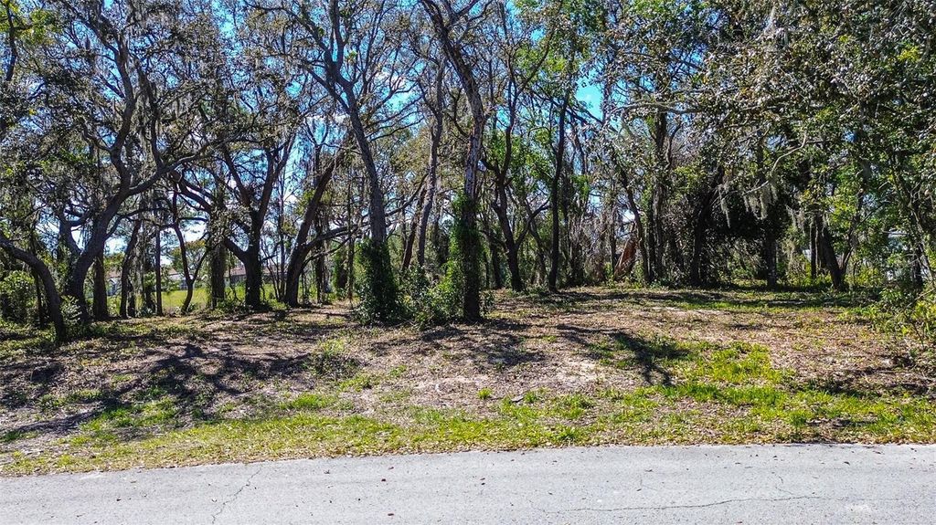 8362 ERIC STREET, Spring Hill, FL 34608