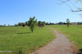 Lot 3 Sugar Maple Court, Madisonville, TN 37354