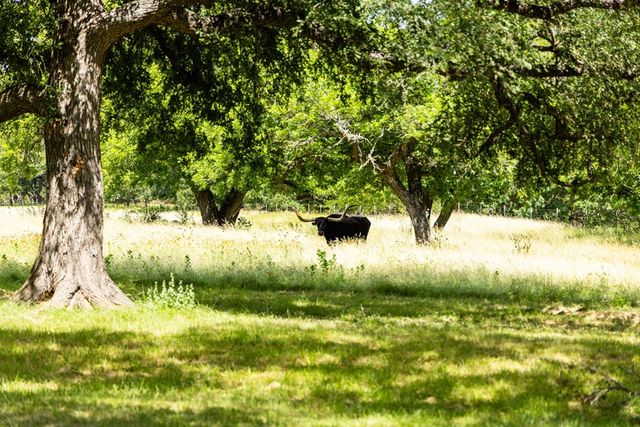 339 Henderson Branch Rd, Ingram, TX 78025