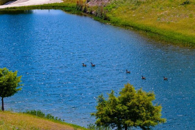 339 Henderson Branch Rd, Ingram, TX 78025