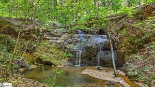 1443 Henderson Road, Gray Court, SC 29645