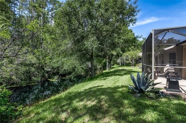 7235 CLEOPATRA DRIVE, Land O Lakes, FL 34637