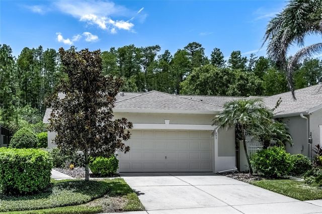 7235 CLEOPATRA DRIVE, Land O Lakes, FL 34637