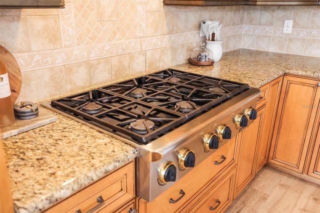 207 MANATEE LANE, Tarpon Springs, FL 34689