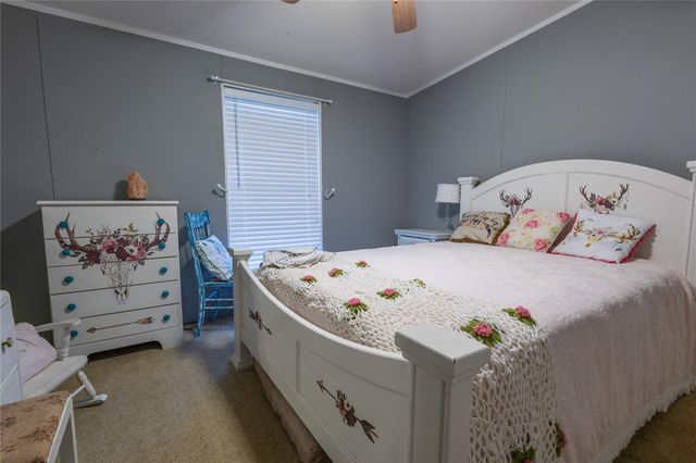10992 Fm 244 Road, Anderson, TX 77830