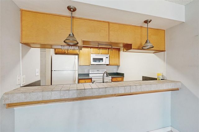 117 N MERCURY AVENUE 117, Clearwater, FL 33765