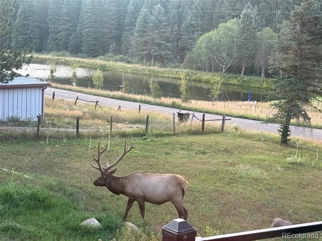 26955 Stagecoach Road, Conifer, CO 80433