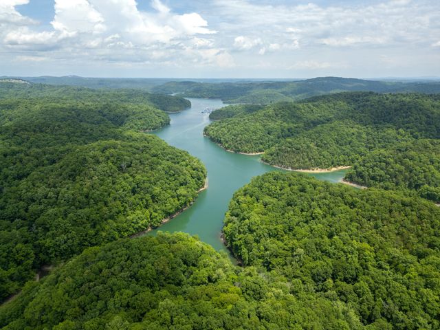 241 Hidden Cove Ln, Allons, TN 38541