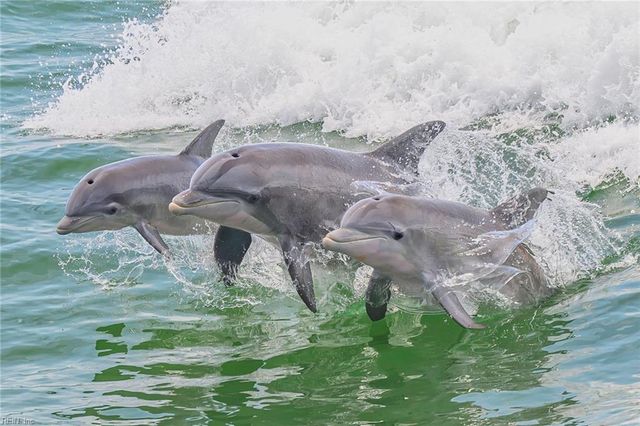 218 88th ST A, Virginia Beach, VA 23451