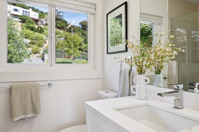 65 Valley View Ave, San Rafael, CA 94901