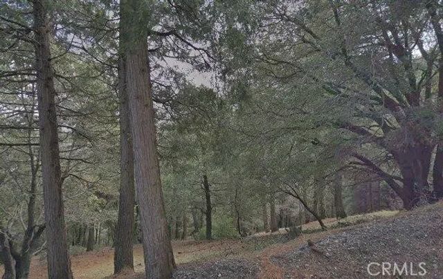 0 Burnt Mill Canyon, Cedarpines Park, CA 92322