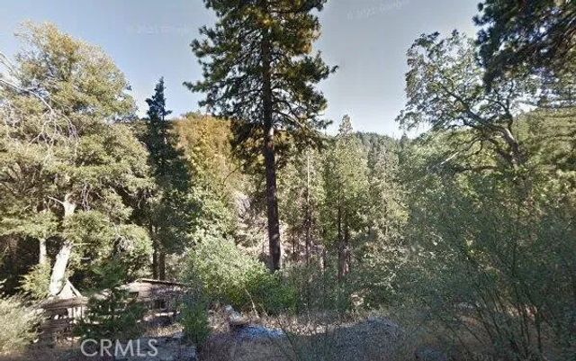 0 Burnt Mill Canyon, Cedarpines Park, CA 92322