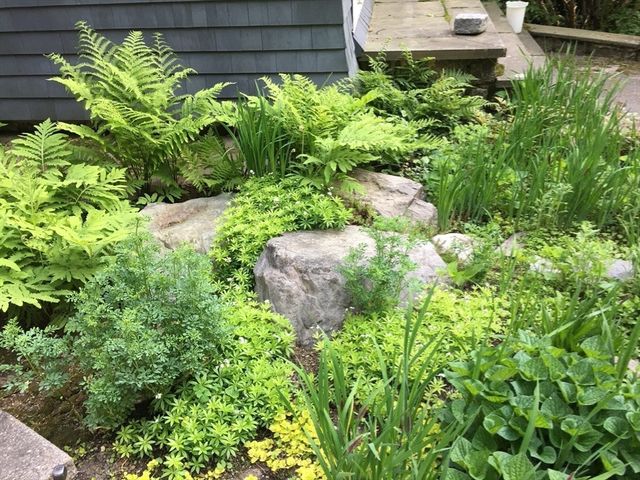 2 Mason Terrace, Brookline, MA 02446