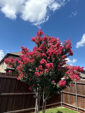 14932 Nightmist Road, Aledo, TX 76008