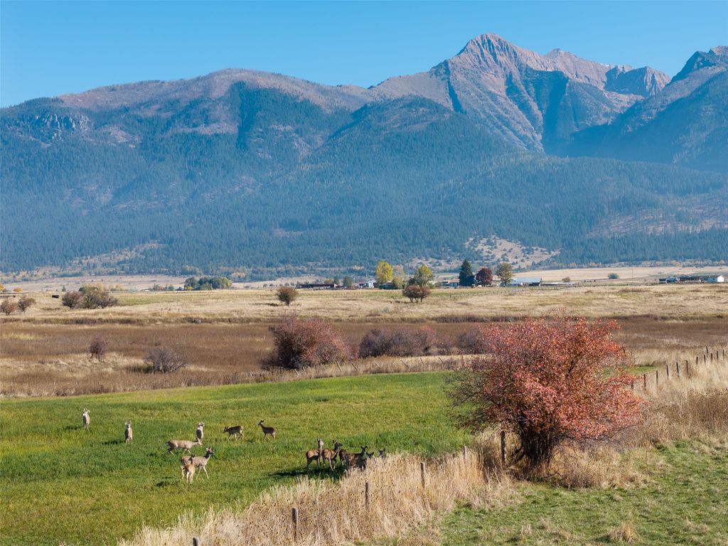 Nhn Lemery Road, St Ignatius, MT 59865 photo 4
