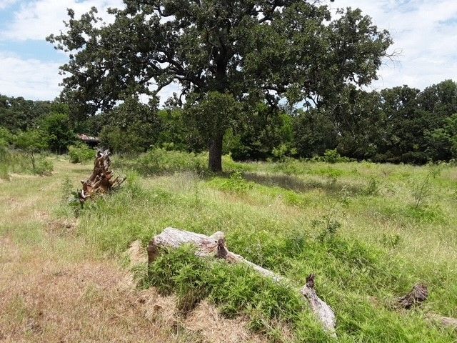 6355 Newt Patterson Road A, Mansfield, TX 76063