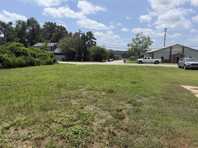 115 E North Street, Livingston, TX 77351