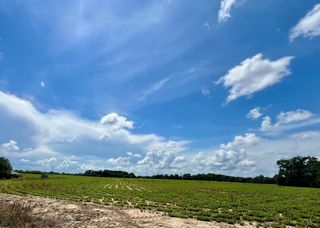 000 36 Acres Rice Road, Taylor, AL 36301