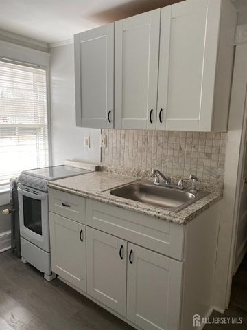 235 Montgomery Street 3, Highland Park, NJ 08904