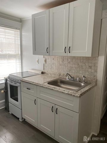 235 Montgomery Street 3, Highland Park, NJ 08904