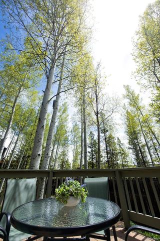 18 Hawn Drive, Frisco, CO 80443