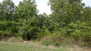 1191 Emory Creek Boulevard, Branson, MO 65616