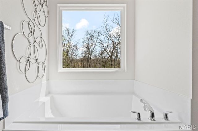 228 Red Maple Court, Hillsboro, MO 63050