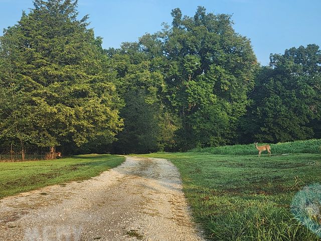 5 Allen Ln, Brush Creek, TN 38547