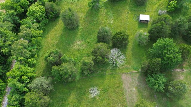 5 Allen Ln, Brush Creek, TN 38547