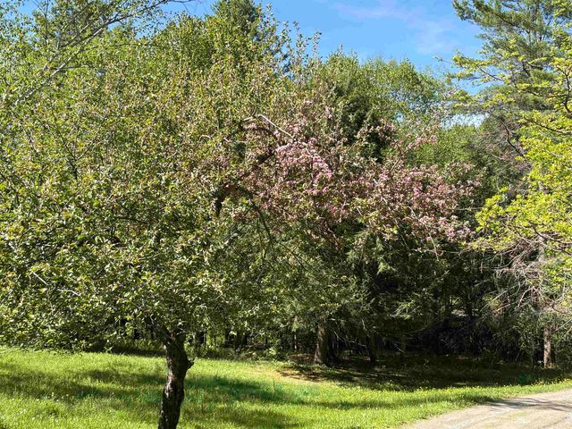 1250 Braintree Hill Road, Braintree, VT 05060