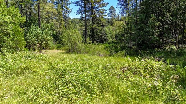 12666 Robinson Road, Nevada City, CA 95959