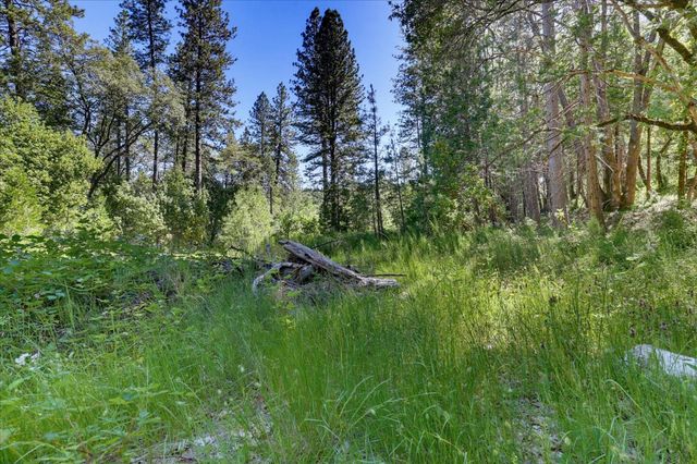 12666 Robinson Road, Nevada City, CA 95959