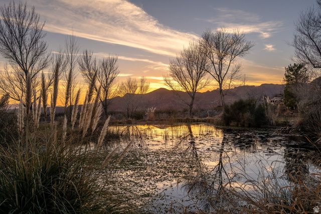 779 S SILVER RD, Leeds, UT 84746