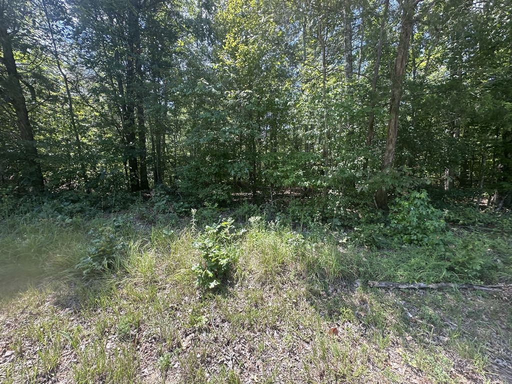 0 Brodies Landing Rd, Parsons, TN 38363