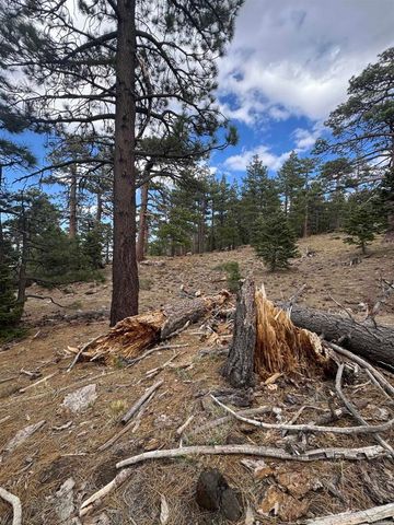 636 35-0002 Mountain Center, Mountain Center, CA 92561